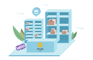 Σύνδεση woocommerce με Pylon ERP